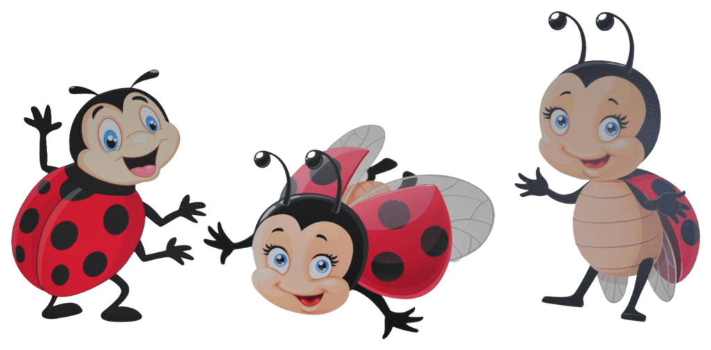 Biedronki – grafika grupy