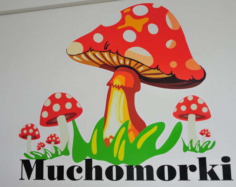 muchomorki 10