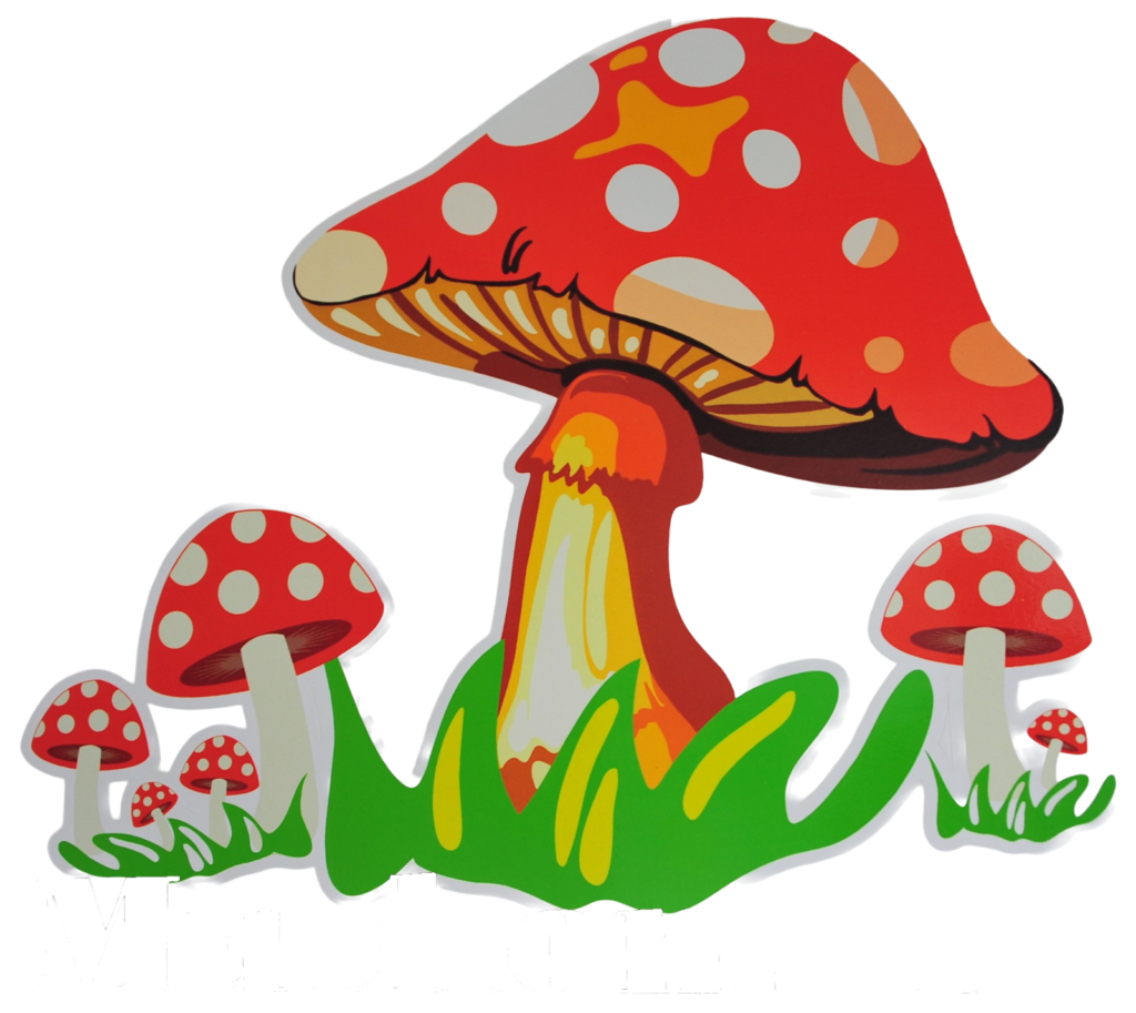Muchomorki – grafika grupy